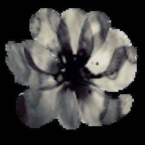 Meet your Posher, Livana